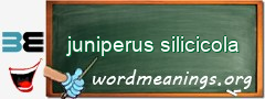 WordMeaning blackboard for juniperus silicicola